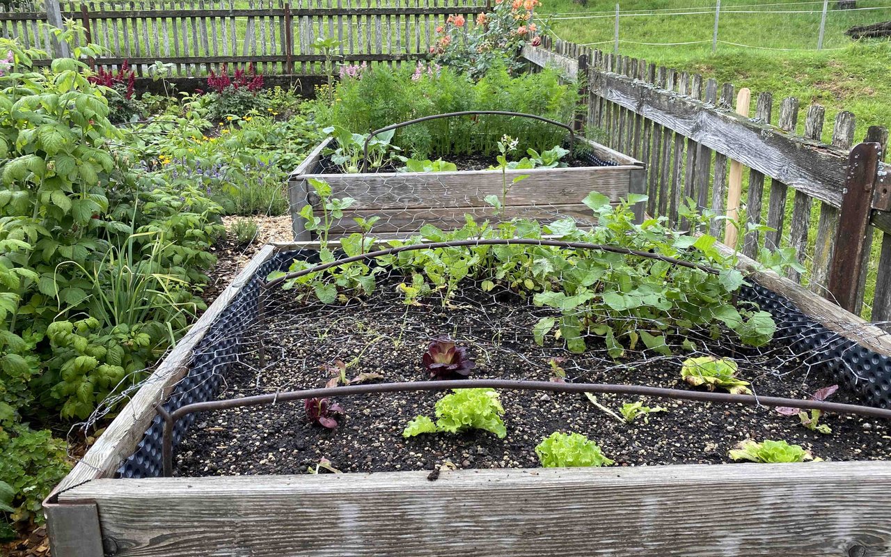 Ein Bauerngarten für Generationen in Oberbalm - diegruene.ch | Die Grüne