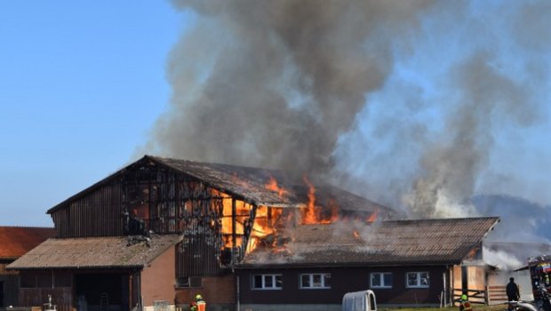 Beim Brand in Stein (AR) wurde niemand verletzt. (Bilder Kantonspolizei Appenzell Ausserrhoden)