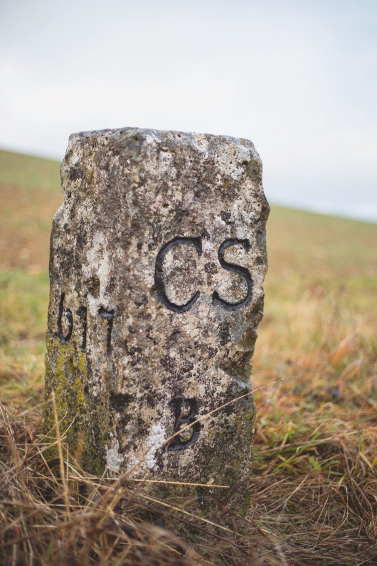 CS: Canton Schaffhausen; B: Bargen. Der Grenzstein stammt aus dem Jahr 1839 und steht direkt neben dem Betrieb der Familie Schlatter in Bargen SH. Bild: Gian Vaitl