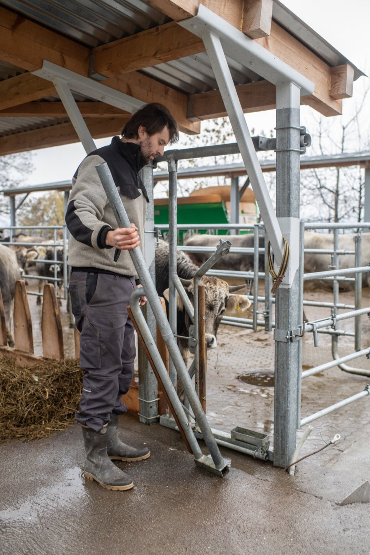 Das Selbstfang-Gitter lässt sich mit einem Handgriff demontieren. So kann Blunier das betäubte Tier schneller befreien. Bild: Matthias Nutt