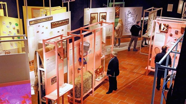 Museum Burg Zug Braunviehzucht Blick von oben auf die unterschiedlichen Exponate der Ausstellung zur Braunviehzucht.