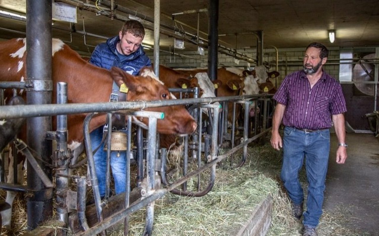 Roman und Erich Siegenthaler setzen voll auf Milchkühe – das wird auch nach der Hofübergabe so bleiben. Bild: die grüne/Pia Neuenschwander