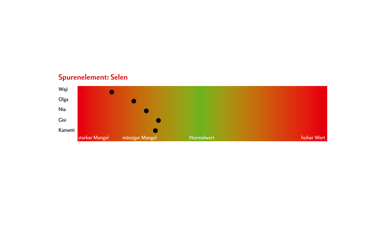 Resultat einer Blutuntersuchung: Die schwarzen Punkte zeigen die Menge an Selen bei 5 Kühe. Im grünen Bereich wären die Werte in der Norm. In diesem Fall liegen alle Werte links auf der Grafik, was bedeutet, dass die Selenwerte der Tiere zu tief sind. Grafik: Nicole Geiser / Quelle: RGS