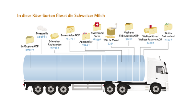 Milchtankwagen mit den prozentualen Anteilen der wichtigsten Käsesorten.