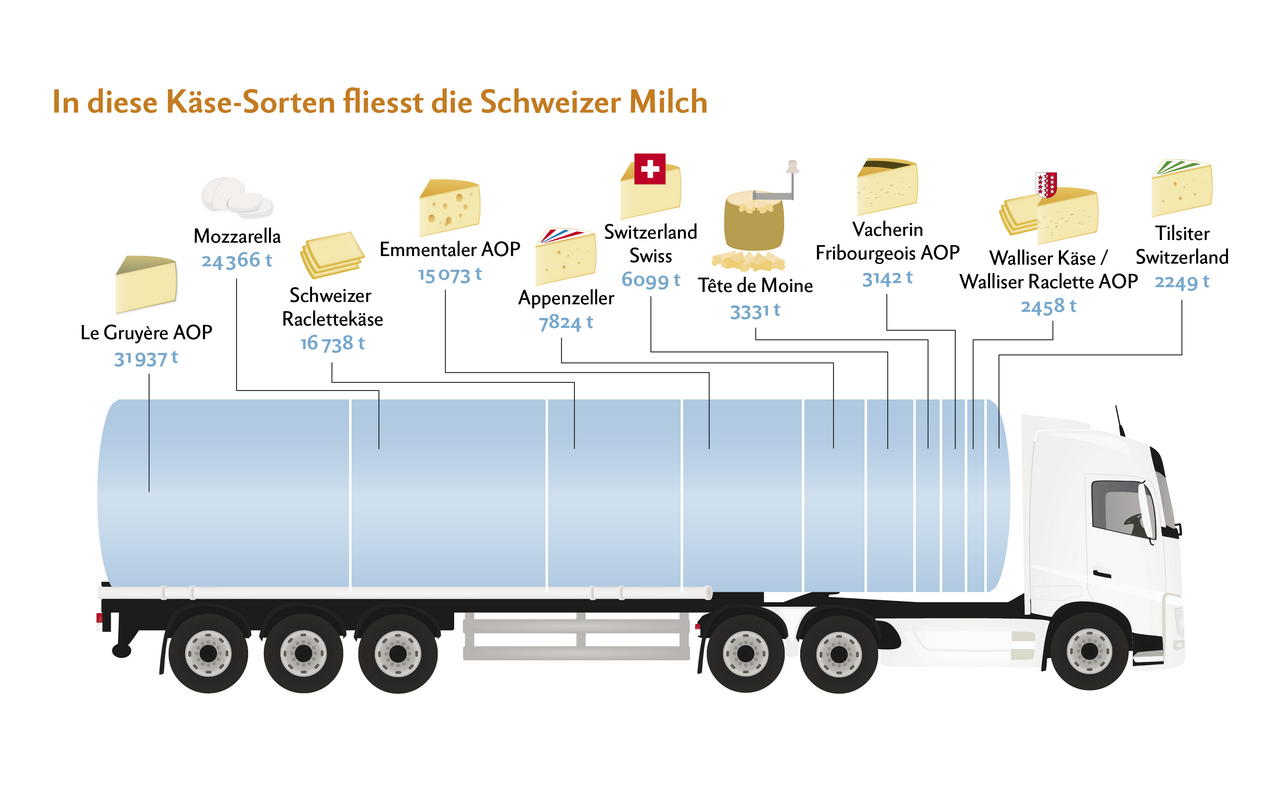 Milchtankwagen mit den prozentualen Anteilen der wichtigsten Käsesorten.