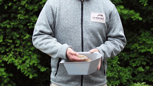 Wie finde ich den idealen Erntezeitpunkt? David Villiger, Geschäftsführer Eichmühle in Beinwil Freiamt, analysiert auf Wunsch das Getreide seiner Kunden, um den Erntezeitpunkt genau festzulegen. Bild: Sebastian Hagenbuch