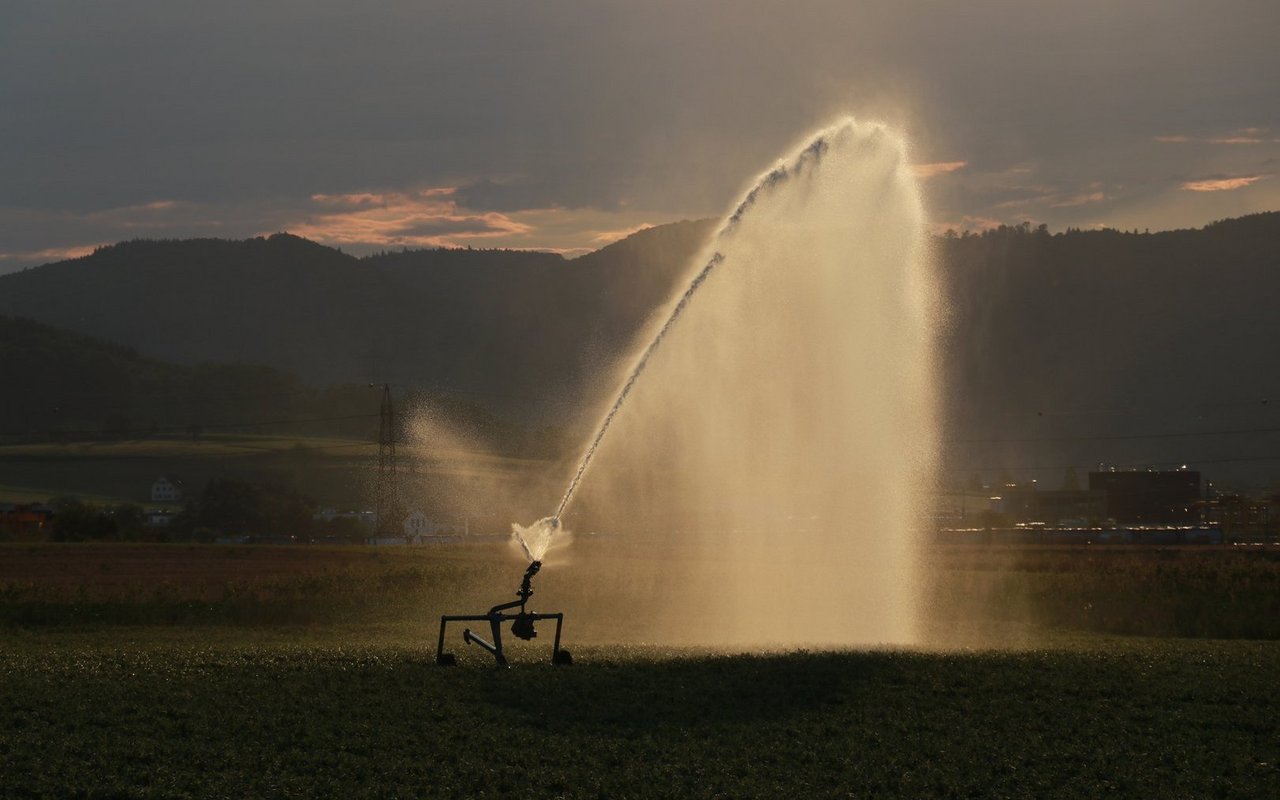 Bei gewissen Kulturen ist Bewässerung nötig, um den Ertrag zu sichern.
