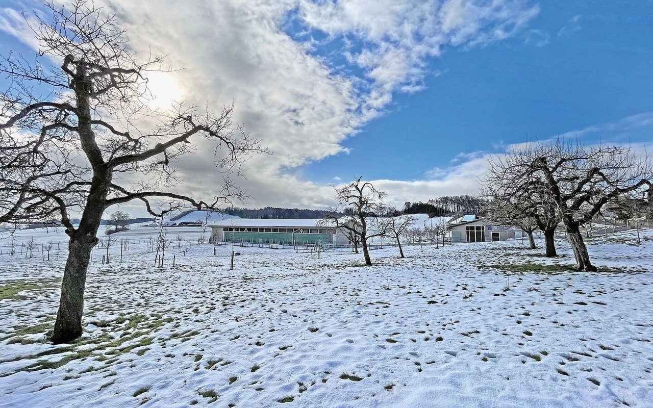 Aufzucht- und Legehennenstall (links) liegen nebeneinander. Im Vordergrund ist der Obstgarten zu sehen, mit Schnee auf dem Gras. 
