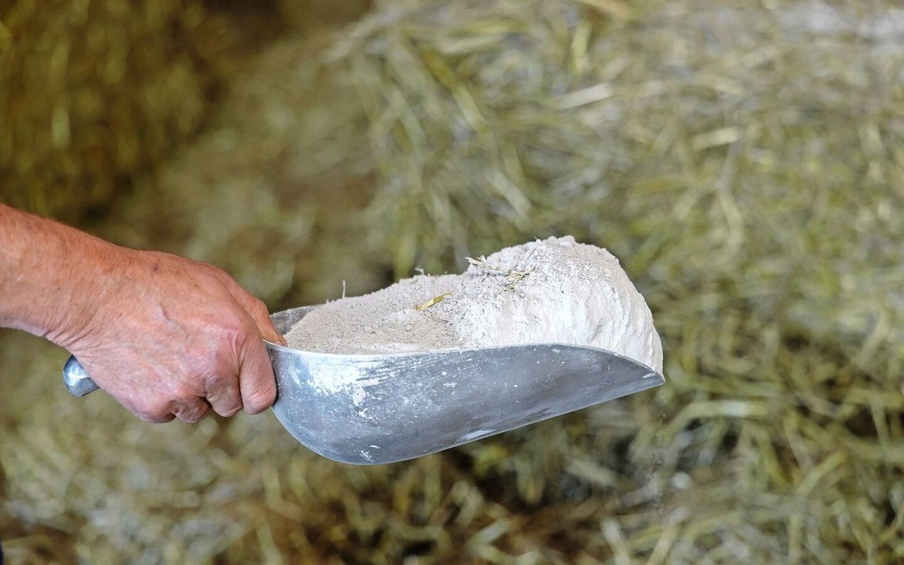 Der Desinfektionskalk wird vor dem Einstreuen auf den Strohballen verteilt. 