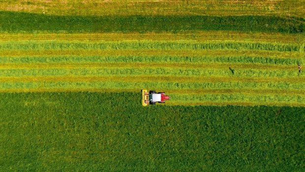 70 Prozent der landwirtschaftlichen Fläche in der Schweiz besteht aus Wiesen und Weiden.