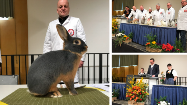 rammler-schau-thun-2022