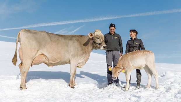 Verena und Hansueli Lanker mit Pinia und ihrem jüngsten Nachwuchs, einem Adee-Zuchtkalb, geboren Ende Dezember 2023.