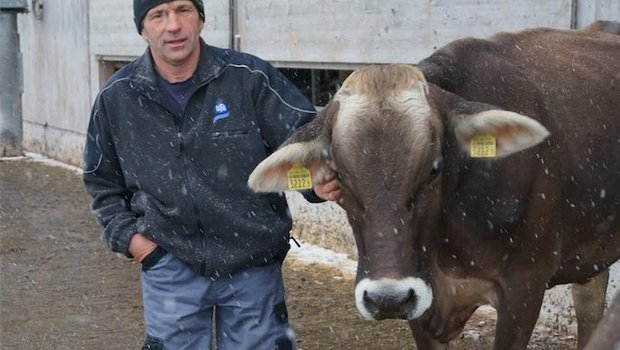 Landwirt TDer Landwirt Toni Huber sagt, dass man sich trauen müsse, abzuwarten und nicht sofort den Tierarzt rufen muss. (Bild Deborah Rentsch)