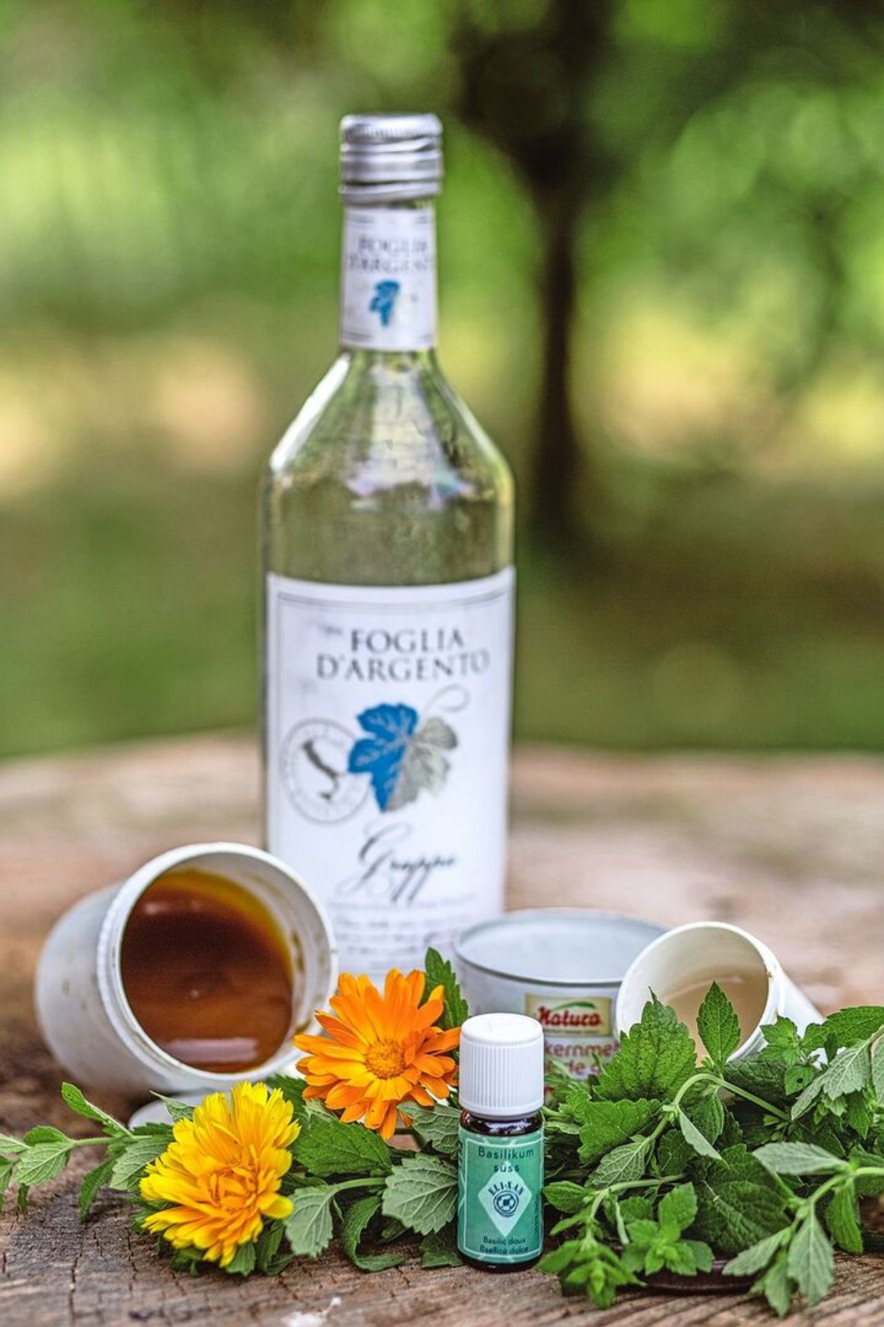 Das Erfahrungswissen rund um Heilpflanzen wissenschaftlich belegen: Das ist einer der Forschungsschwerpunkte von Michael Walkenhorst am FiBL.