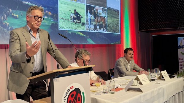 IP-Suisse-Geschäftsführer Christophe Eggenschwiler am Rednerpult.