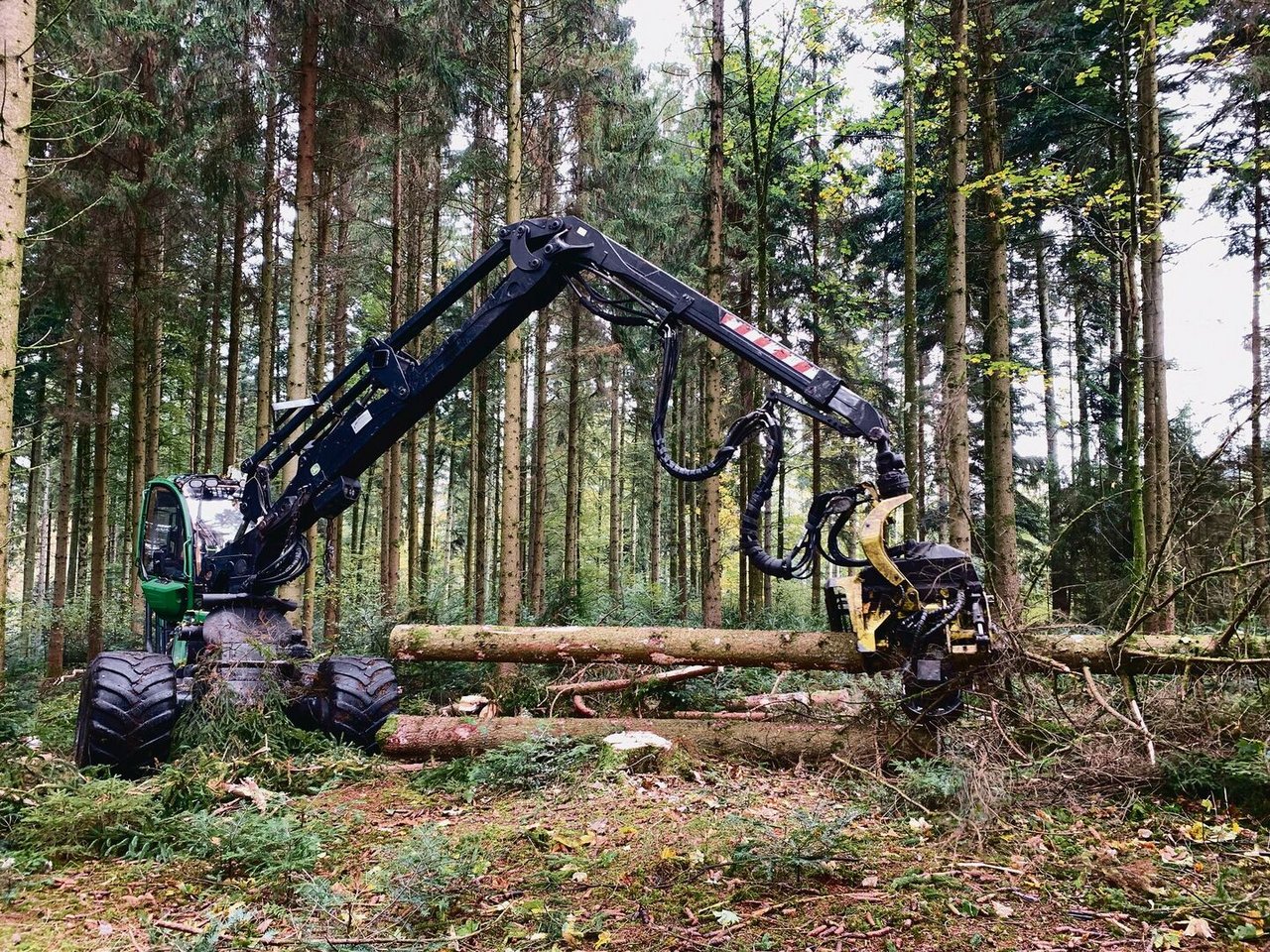 Bäume fällen und aufrüsten im Minutentakt: Die Schlagkraft moderner Forsttechnik ist enorm.