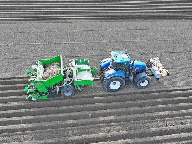 2026 wurden 55 Hektaren weniger Frühkartoffeln gepflanzt, weil in den Lagern noch 33'000 Tonnen Speisekartoffeln aus der Vorjahresernte liegen. 