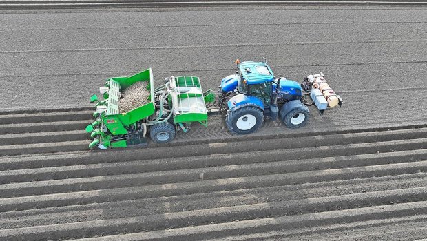 2026 wurden 55 Hektaren weniger Frühkartoffeln gepflanzt, weil in den Lagern noch 33'000 Tonnen Speisekartoffeln aus der Vorjahresernte liegen. 