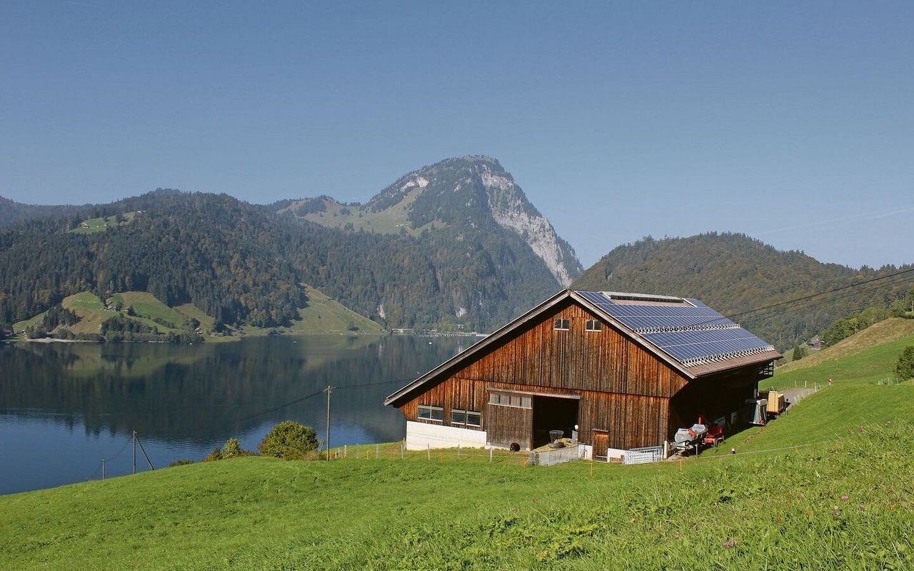 Der Stall der Familie Ziltener liegt oberhalb des Wägitalersees. Im Hintergrund zu sehen sind die Berge.