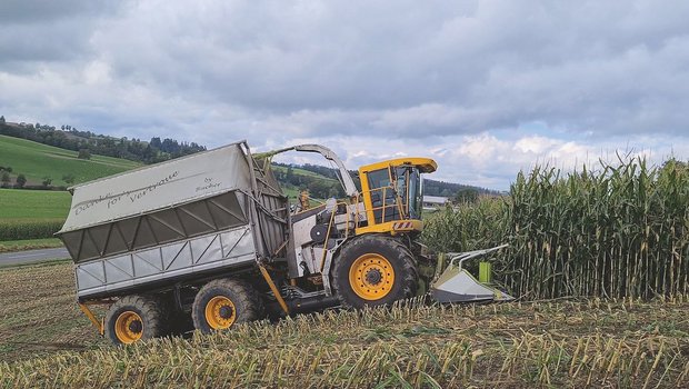 Mit dem Ladebunker kann auf ein nebenherfahrendes Fahrzeug für den Abtransport verzichtet werden. Dies schont die Bodenstruktur. Bild: Martina Rüegger