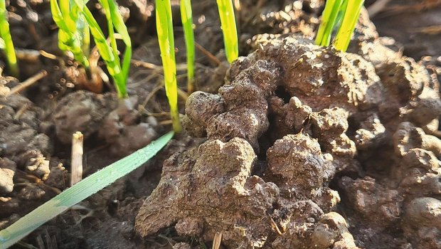 Fruchtbarer Boden is Fruchtbarer Boden ist für die Landwirtschaft unerlässlich, in der Politik aber ein vernachlässigtes Thema.