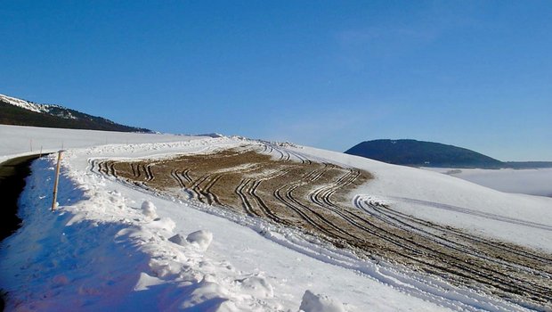 Mist und Gülle gehören weder auf schneebedeckte noch auf gefrorene Böden. Foto: zVg