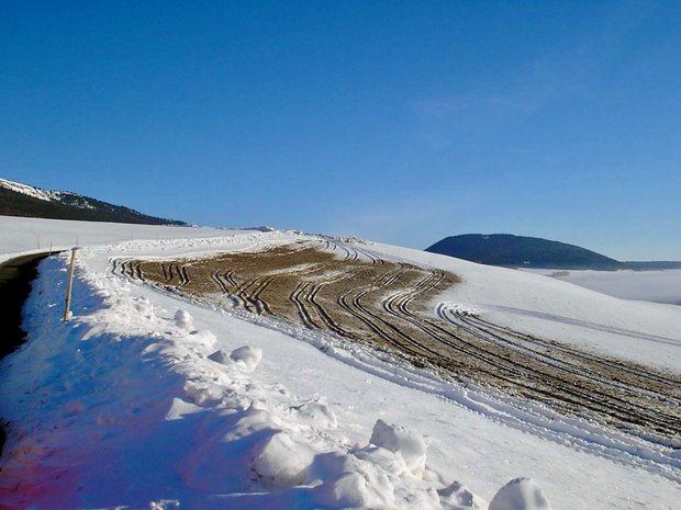 Mist und Gülle gehören weder auf schneebedeckte noch auf gefrorene Böden. Foto: zVg