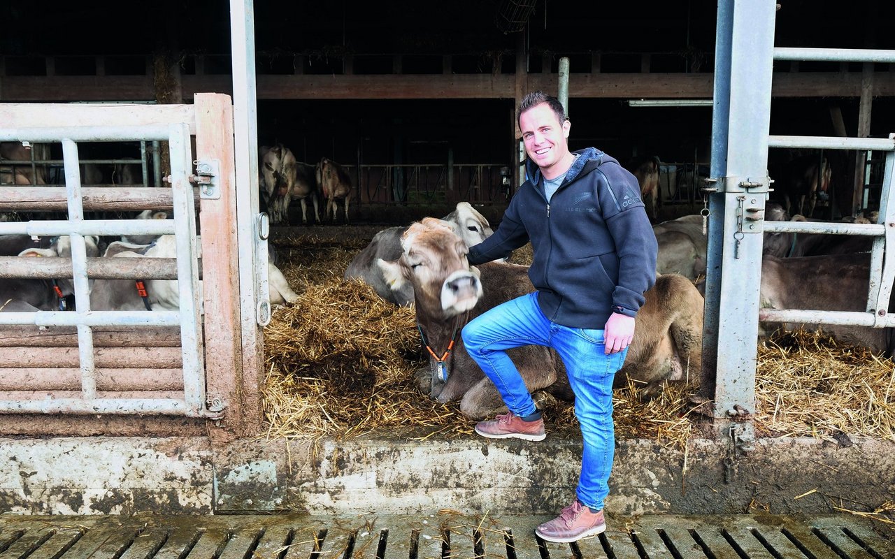 Andrin Ledergerber steht im Laufstall und krault einer Kuh den Kopf.