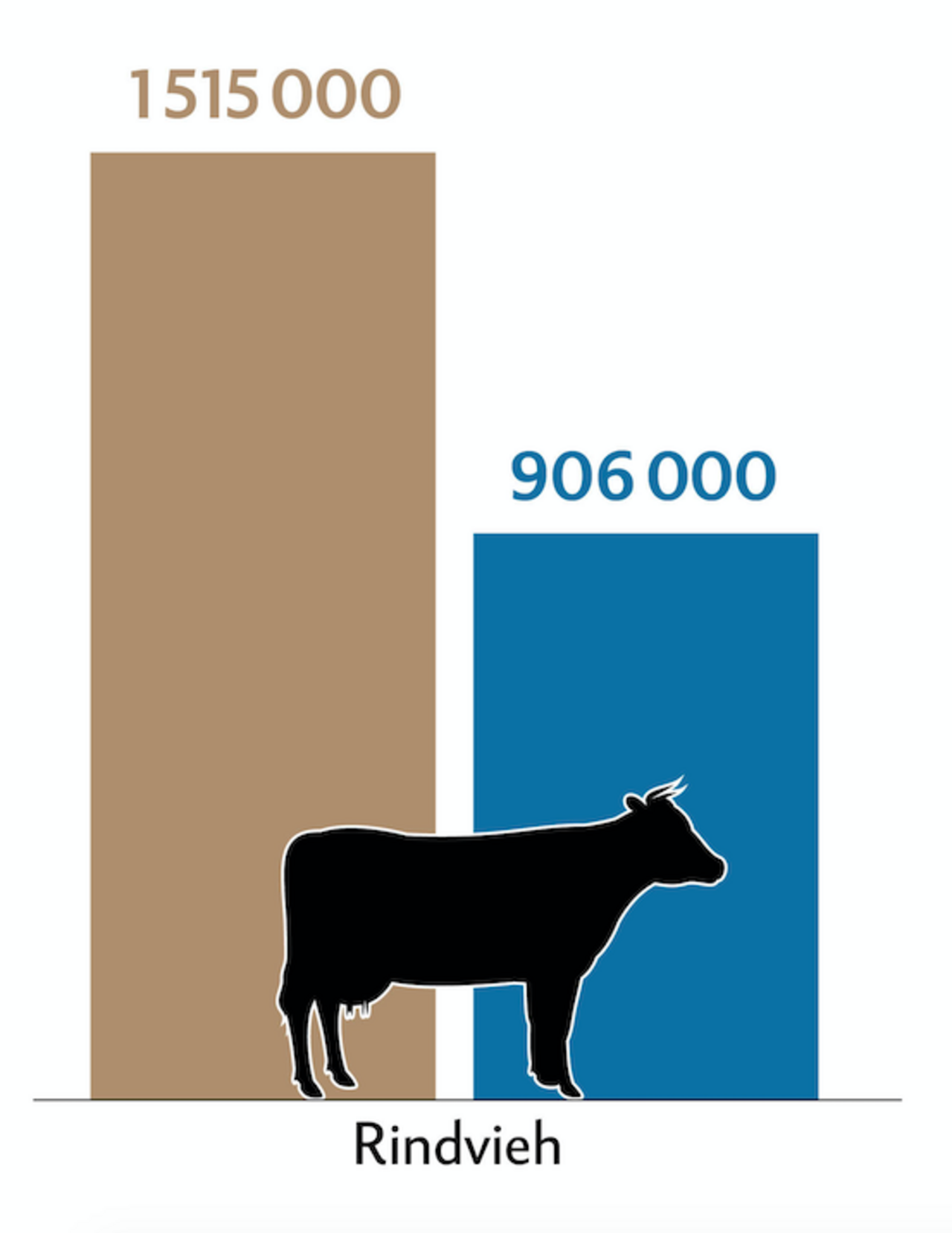 Balkendiagramm zeigt die Tierzahlen (braun) und Behandlungszahlen (blau) der Rinder in der Schweiz.