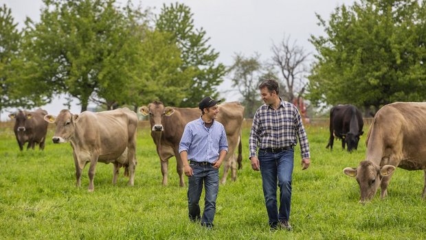 Young Farmer Sepp Infanger hat seinen Lehrmeister Roger Frei ein Jahr nach Lehrabschluss getroffen auf dem Betrieb in Menzingen ZG. Bild: Pia Neuenschwander