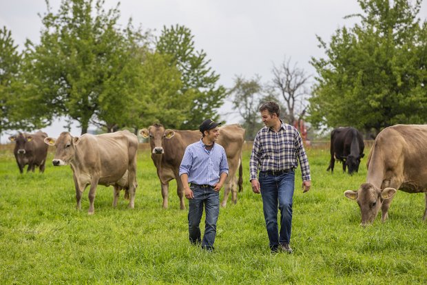 Young Farmer Sepp Infanger und sein ehemaliger Lehrmeister Roger Frei Young Farmer Sepp Infanger hat seinen Lehrmeister Roger Frei ein Jahr nach Lehrabschluss getroffen auf dem Betrieb in Menzingen ZG. Bild: Pia Neuenschwander