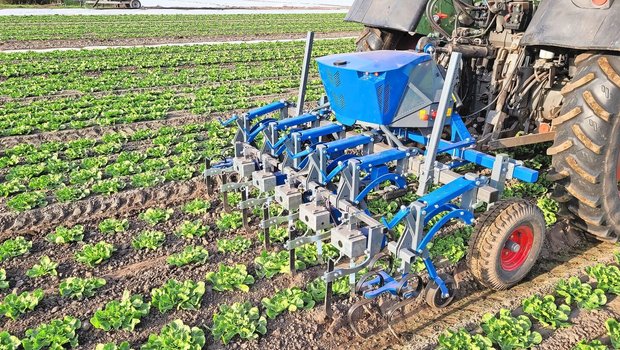 Die Hacke erkennt die Salatpflanzen mittels Kamera. Zwischen den Salaten wird Unkraut gehackt.