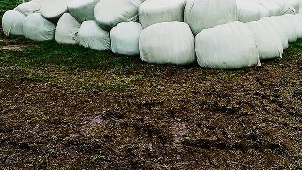 Herbstgras-Silage jetzt füttern In der Herbstgras-Silage kann es zu Gärsaftverlust kommen. Bild: zVg