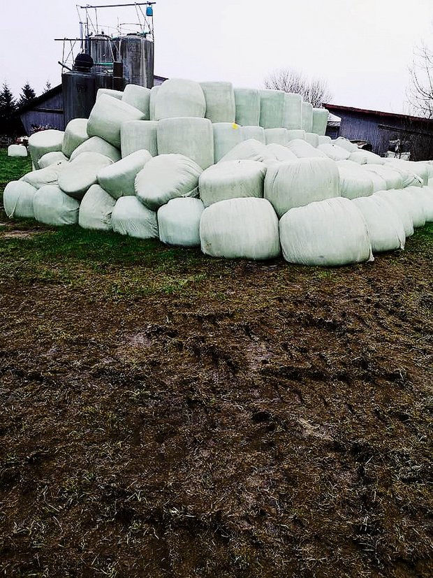 Herbstgras-Silage jetzt füttern In der Herbstgras-Silage kann es zu Gärsaftverlust kommen. Bild: zVg