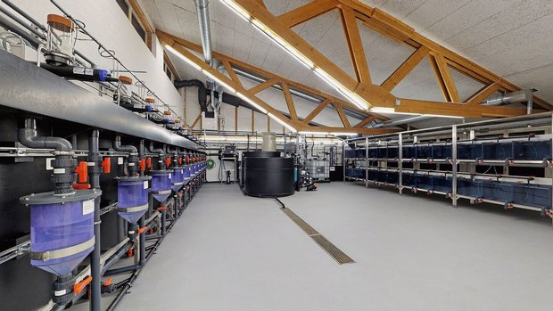 Die Kreislaufanlage Die Kreislaufanlage ist das Herzstück der neue Forschungsanlage für Aquakultur des Aquaforums. Sie ist seit November 2021 in Zollikofen BE in Betrieb.