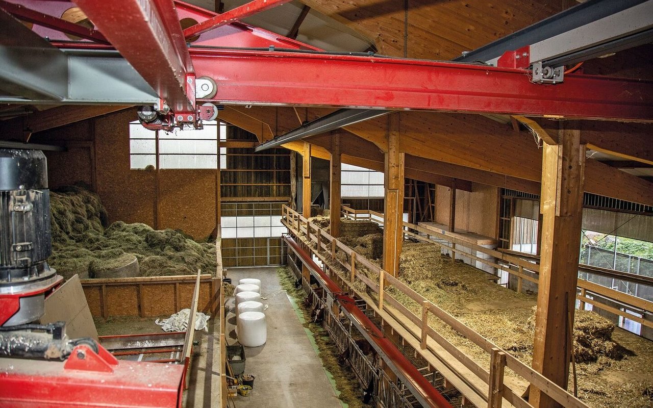 Eine Übersicht von oben: links der Heustock, in der Mitte der Futtertisch und rechts die Kälber- Abkalbe und Kranken-Boxen.