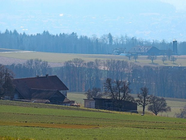 Wer ein landwirtschaftliches Gewerbe pachtet, braucht für den Pachtzins eine Bewilligung des Kantons.