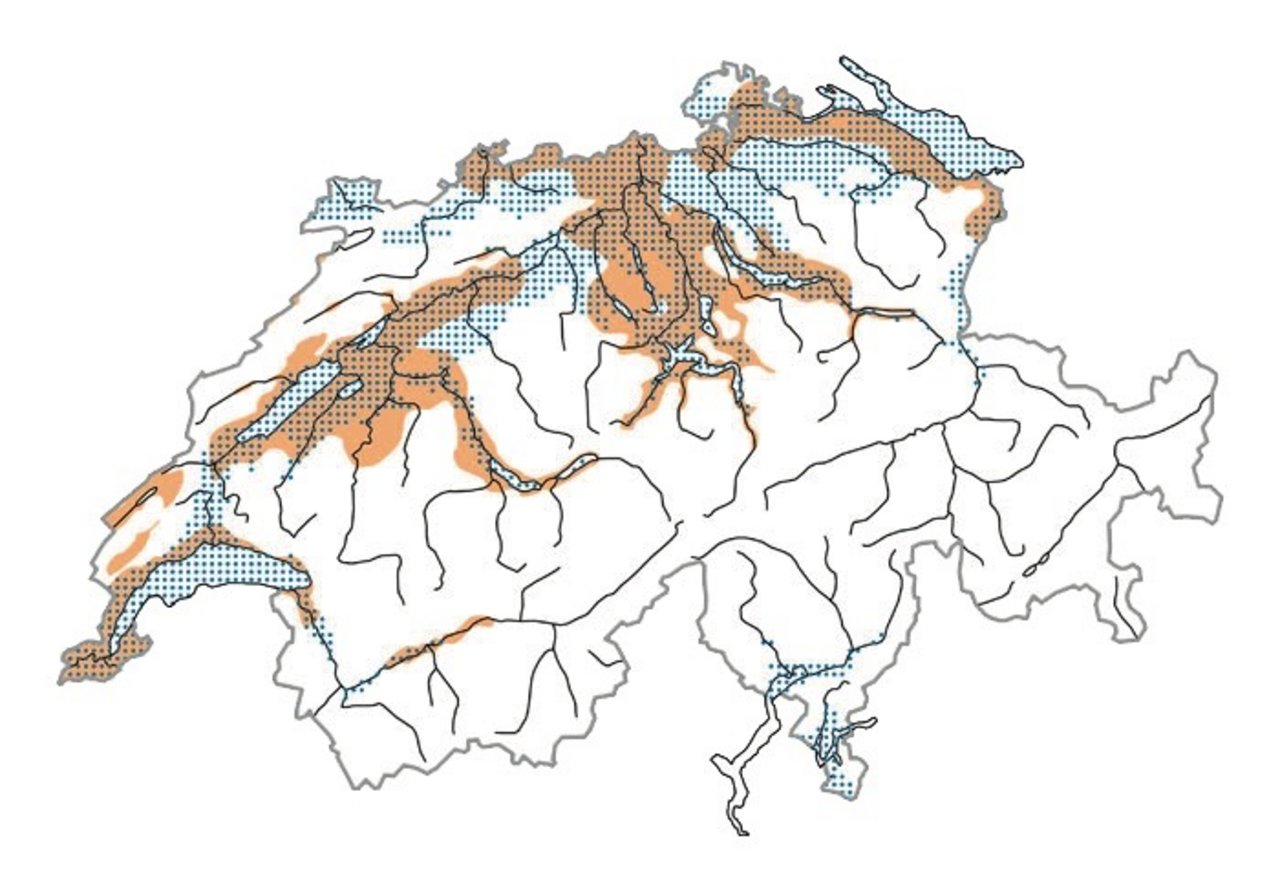 Verbreitung des Höckerschwans in der Schweiz. Zur Brutzeit = Ocker, im Winter = Blau, zur Zugzeit = Rot Karte: Vogelwarte