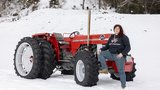 Der Massey Ferguson 165 ist Nicole Schulers Traumtraktor. (Bild: «die grüne»/Gian Vaitl)