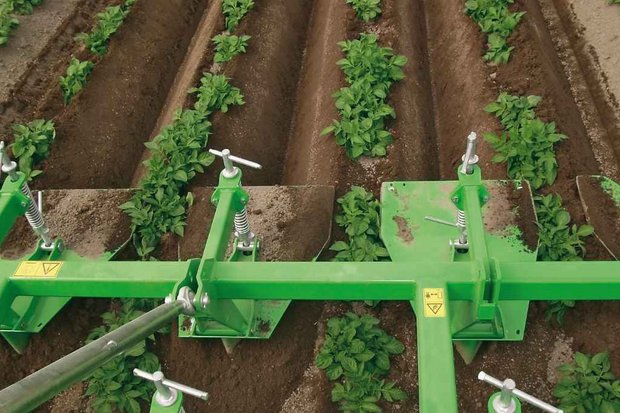 Anbauversuche für herbizidlosen Kartoffelanbau Werden Kartoffeln herbizidlos angebaut, verursacht das Aufwand und auch Kosten. Bild: ZVG