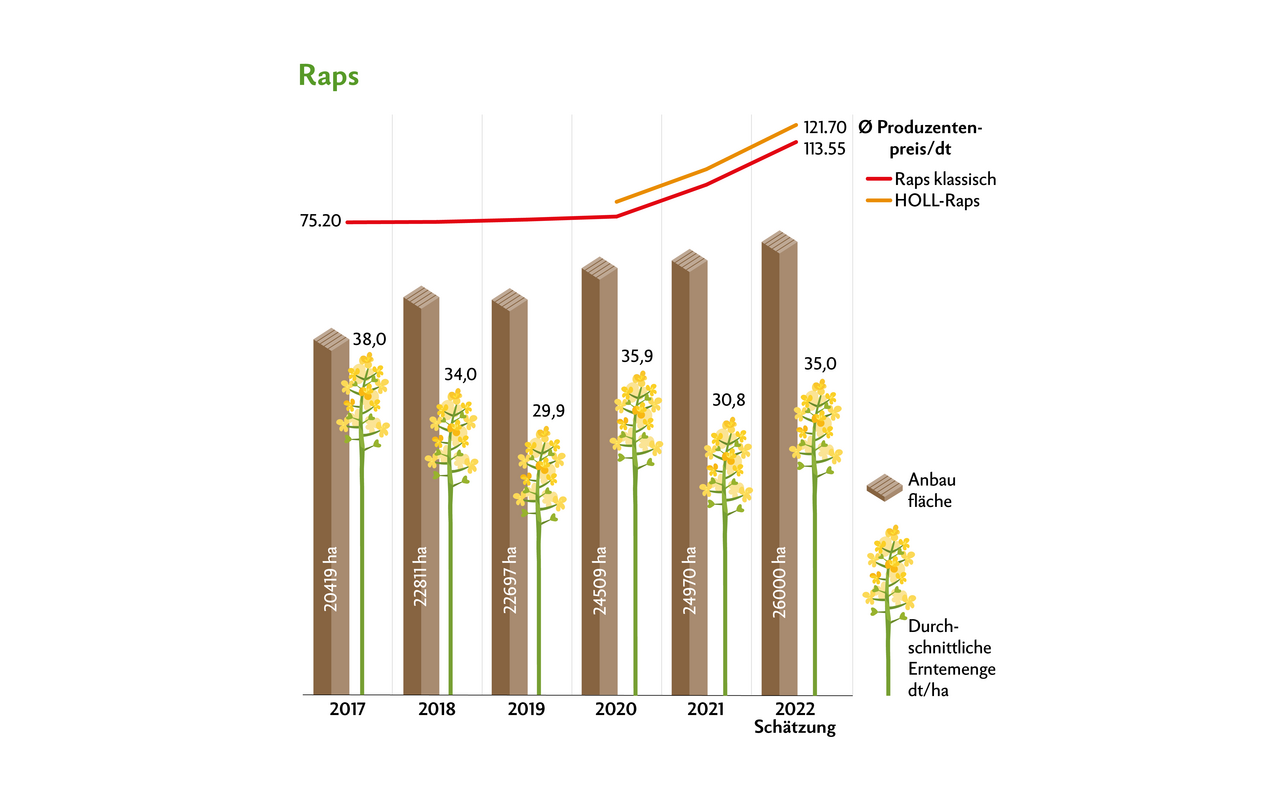 Raps ist sehr gefragt. Die Anbaufläche hat sich aufgrund der stets gestiegenen Produzentenpreise jährlich erhöht.