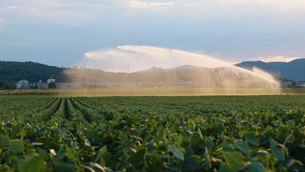 Ein Wasserwerfer im Birrfeld im Trockensommer 2022: Der Umgang mit der wertvollen Ressource stand am Liebegger-Tag der Spezialkulturen im Mittelpunkt. 