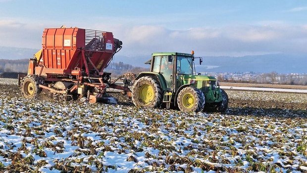 Schwierige Bedingungen begleiteten die Zuckerrübe während des gesamten Anbaujahres 2023.