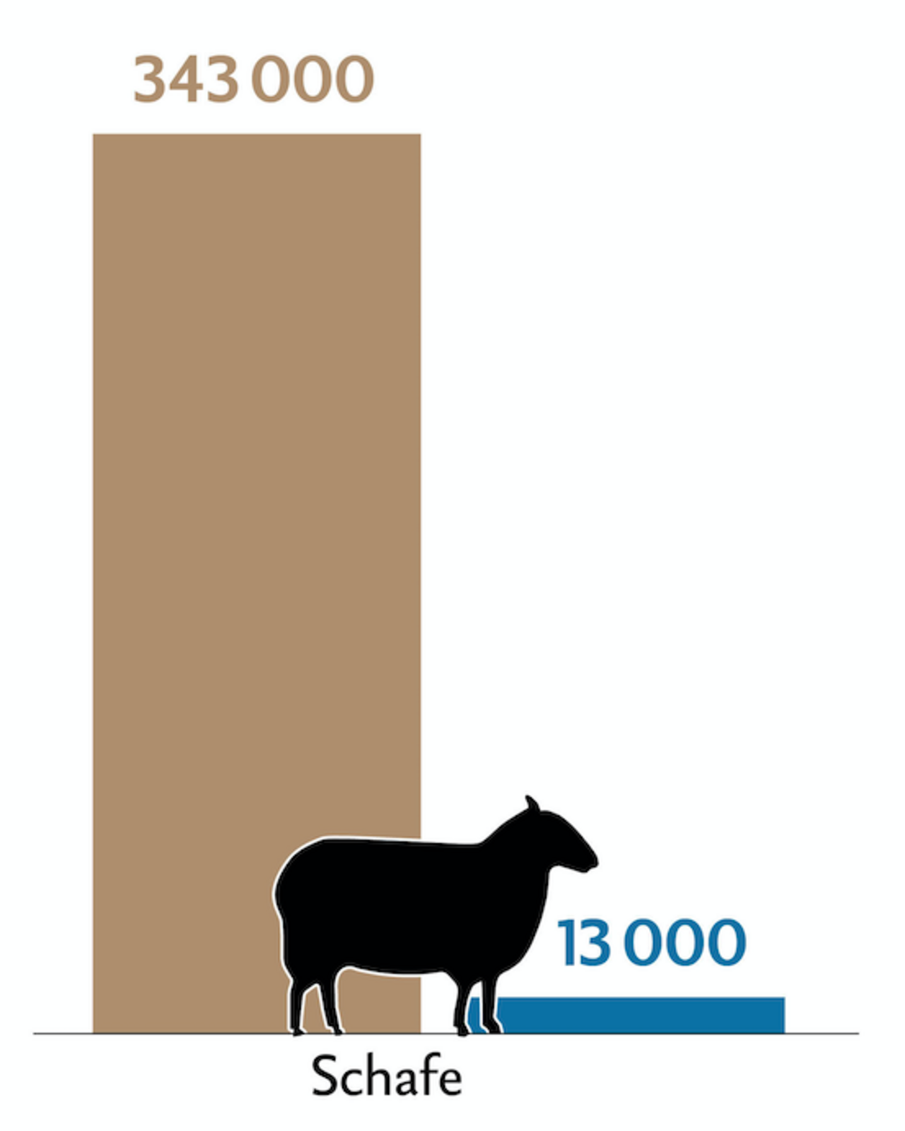 Balkendiagramm zeigt die Tierzahlen (braun) und Behandlungszahlen (blau) der Schafe in der Schweiz.