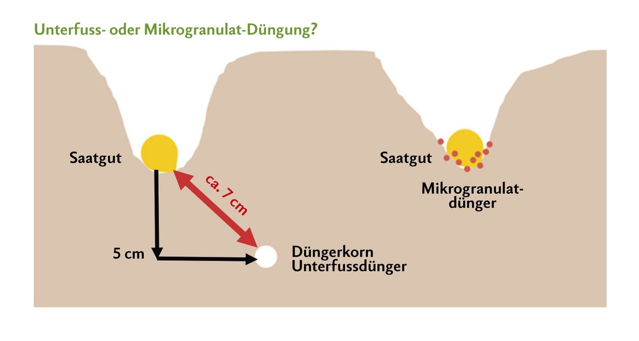 Im Gegensatz zum Unterfussdünger wird Mikrogranulat-Dünger direkt beim Maiskorn platziert. Das ist insbesondere beim Phosphor ein Vorteil, weil dieser Nährstoff im Boden nicht mobil ist. Grafik: Landor