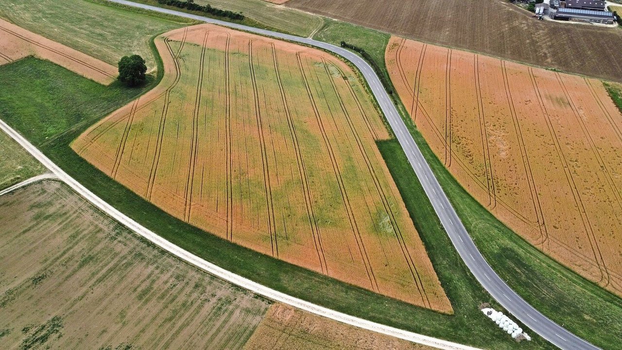Aus der Vogelperspektive lassen sich Unterschiede der Wasserverfügbarkeit innerhalb eines Feldes viel leichter erkennen. 
