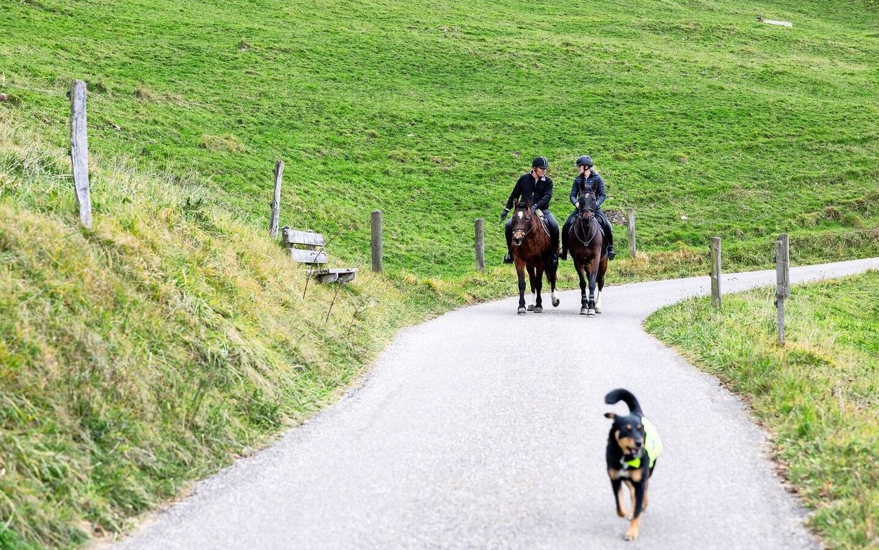 Beim gemeinsamen Ausritt haben Liliane und Josef Bader Zeit, auch mal tiefere Gespräche miteinander zu führen – zum Beispiel über die Hofübergabe. 