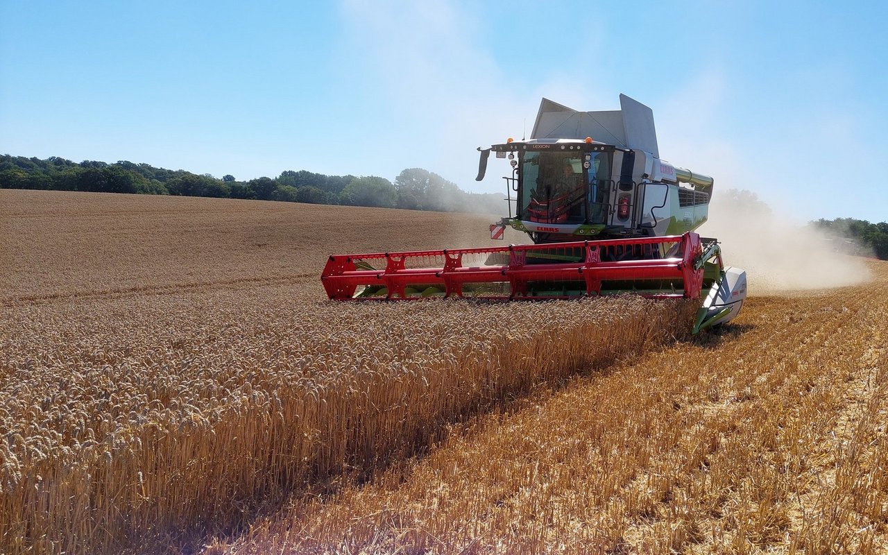 Besonders Bio-Mahlweizen ist gesucht, da Migros und Coop ihr Brot-Sortiment auf Bio Suisse bzw. Knospe-Umstellungsweizen umstellen wollen. Bio Suisse sieht grosses Potenzial für Flächen in der Westschweiz, da dort mehr Betriebe mit grossen Ackerflächen sind. 