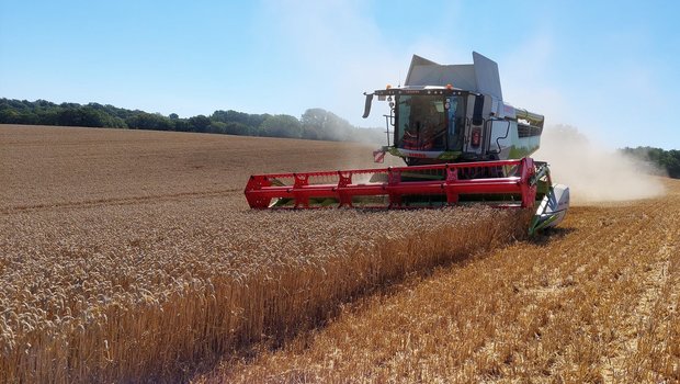 Besonders Bio-Mahlweizen ist gesucht, da Migros und Coop ihr Brot-Sortiment auf Bio Suisse bzw. Knospe-Umstellungsweizen umstellen wollen. Bio Suisse sieht grosses Potenzial für Flächen in der Westschweiz, da dort mehr Betriebe mit grossen Ackerflächen sind. 