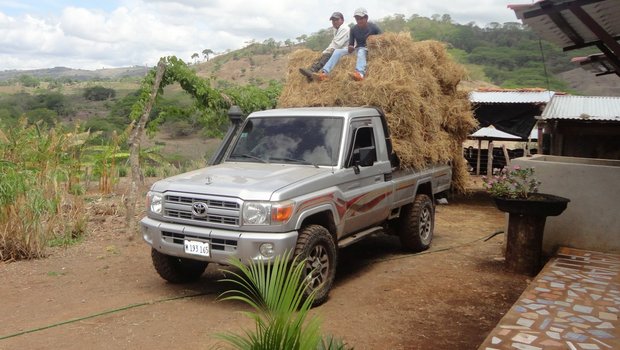 Beim Reisstrohtransport vom Dorf zur Finca gab es für den Lastwagen kein Durchkommen. Er war zu hoch beladen. (Bild Mirka Lötscher)